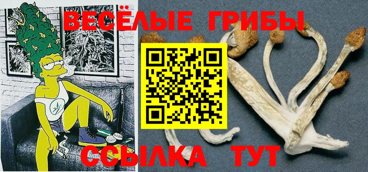 Мегион  Псилоцибиновые грибы Psilocybine cubensis  как найти   Псилоцибиновые грибы MAGIC MUSHROOMS  Вход с VPN 